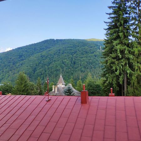 Cozy Loft At Teleferic Apartment Sinaia Ngoại thất bức ảnh