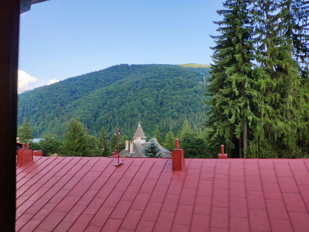 Cozy Loft At Teleferic Apartment Sinaia Ngoại thất bức ảnh
