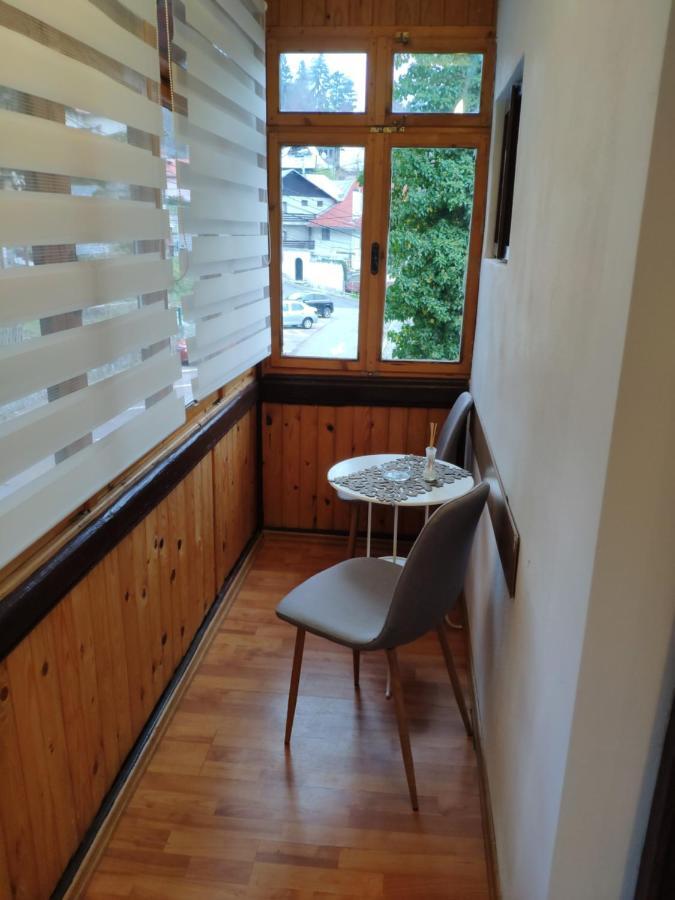 Cozy Loft At Teleferic Apartment Sinaia Ngoại thất bức ảnh