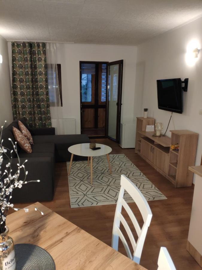 Cozy Loft At Teleferic Apartment Sinaia Ngoại thất bức ảnh